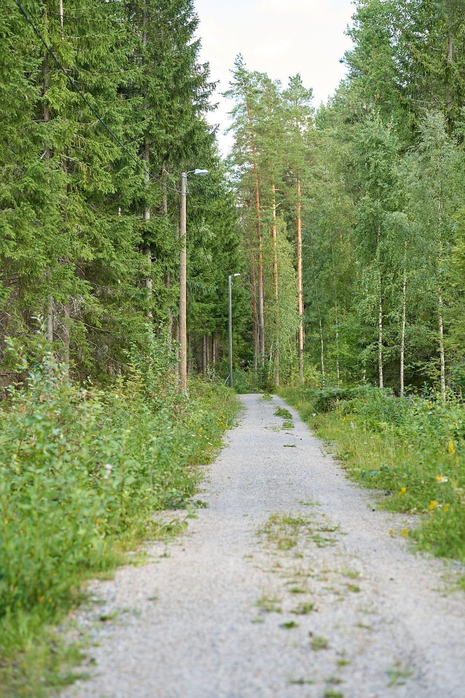 Natural landscape
