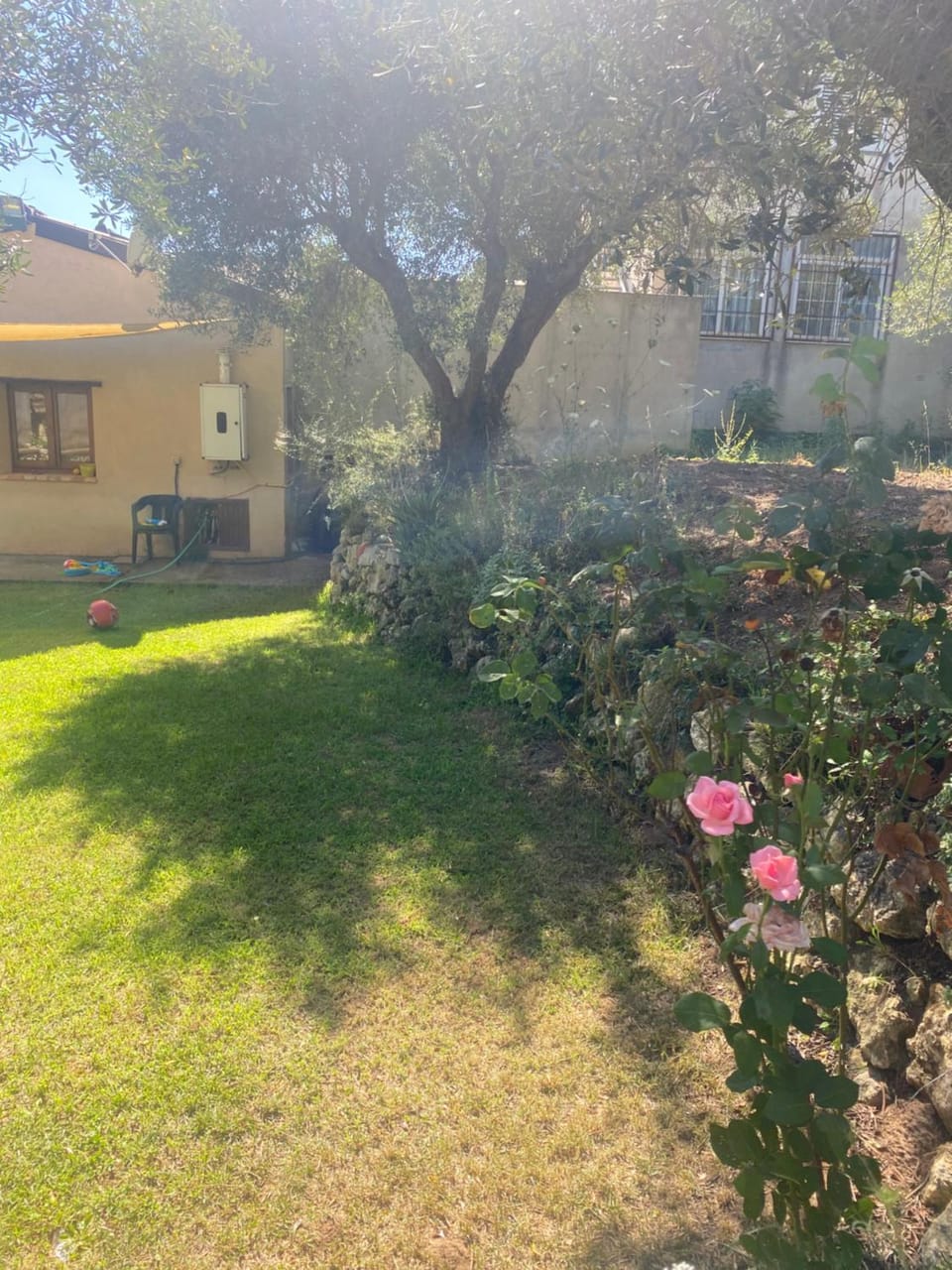 BlueMind BIO Villa in Calabria