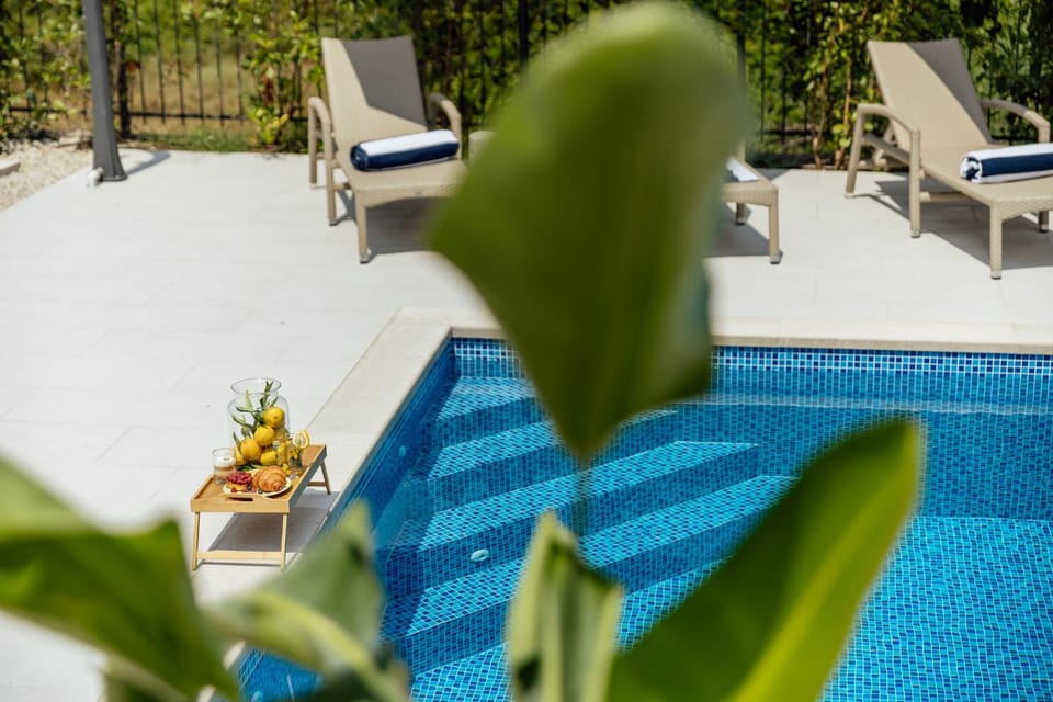 Albizia Apartment in Montenegro