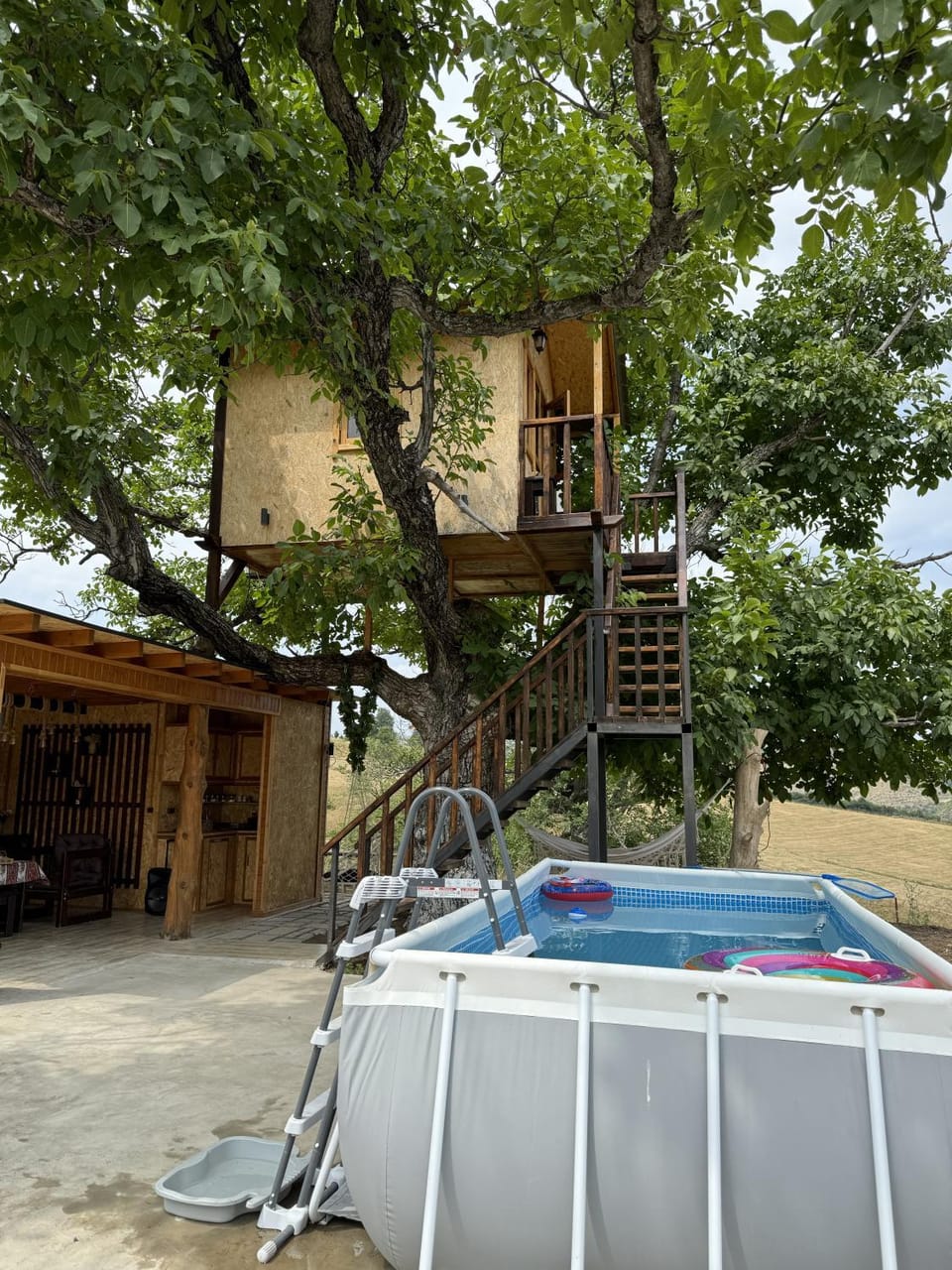 Pool view, Swimming pool