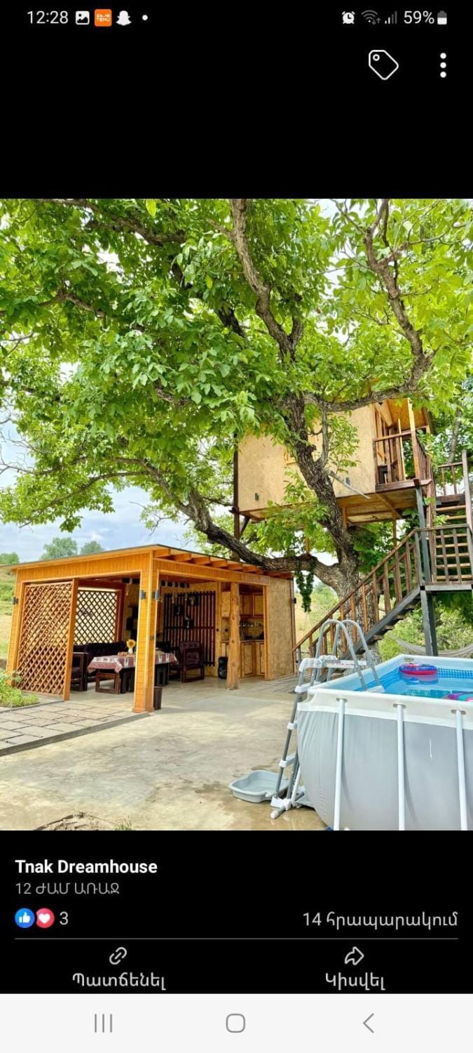 Communal lounge/ TV room, Day, Pool view, Swimming pool