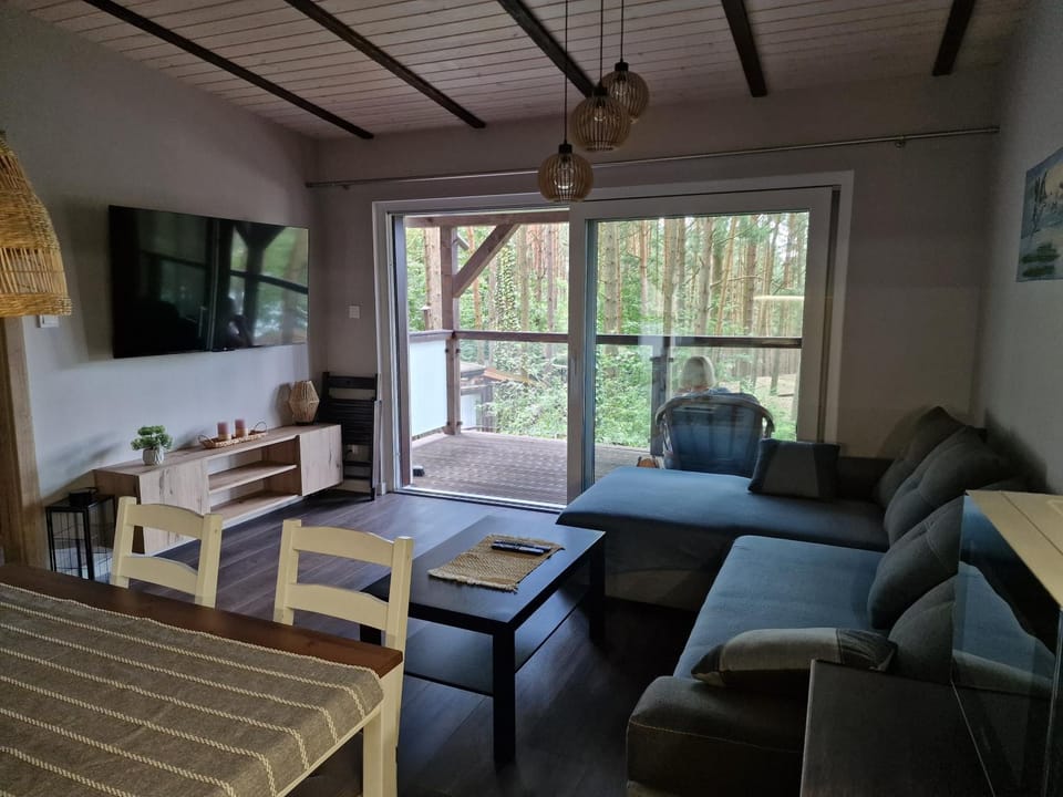 Apartament Sosny 2,3 nad jeziorem OTW Borówno Wielkie Apartment in Pomeranian Voivodeship