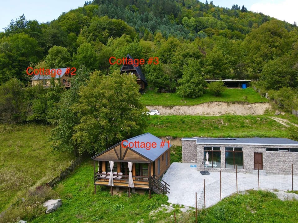 Property building, Natural landscape, Mountain view