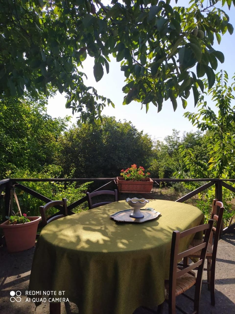 Spring, Day, Garden view
