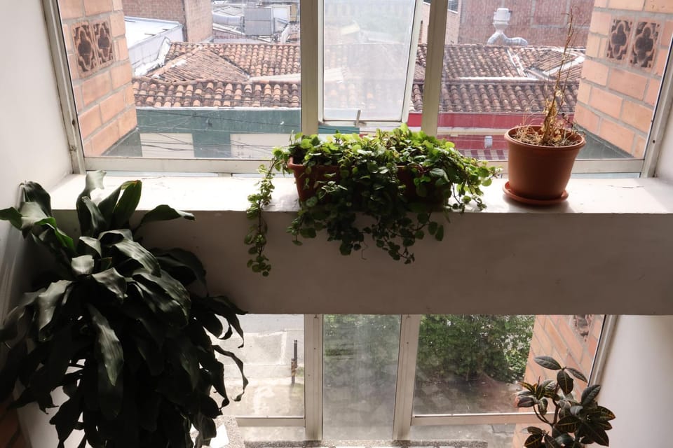 View (from property/room)