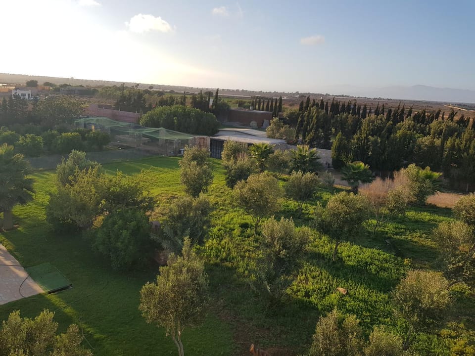View (from property/room)