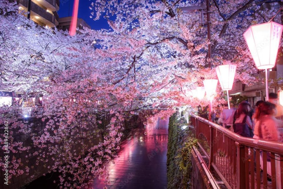 Rakuna Inn 遊 Kinshicho Apartment in Japan