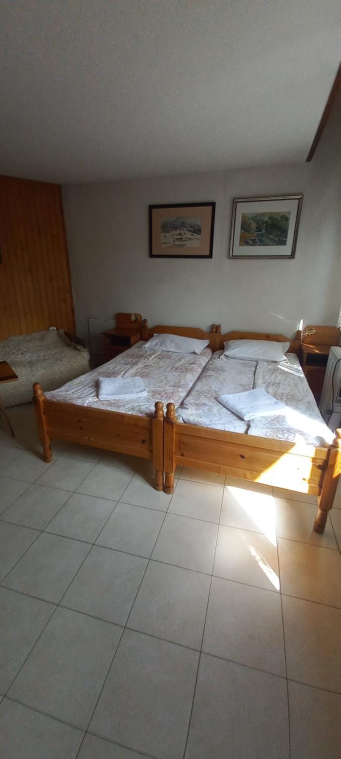 Dumanova house Bed and Breakfast in Bansko