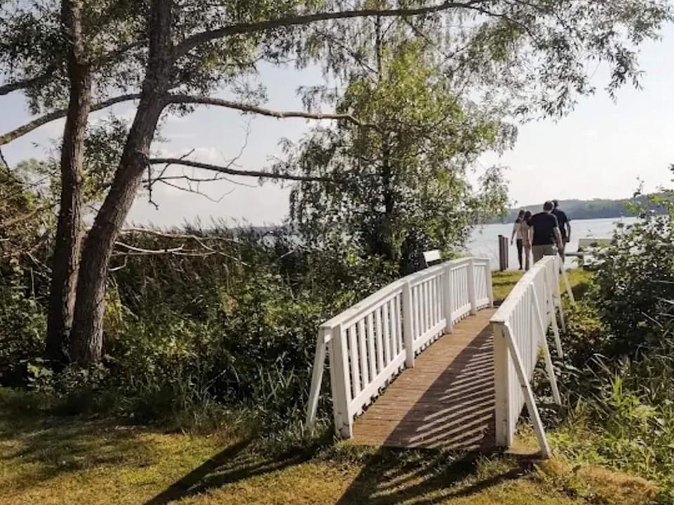 Lake view