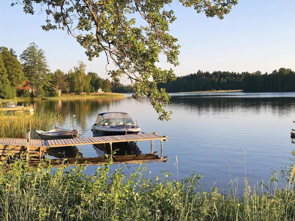 Lake view