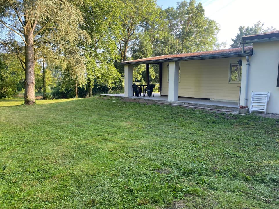 Spring, Garden, Garden view