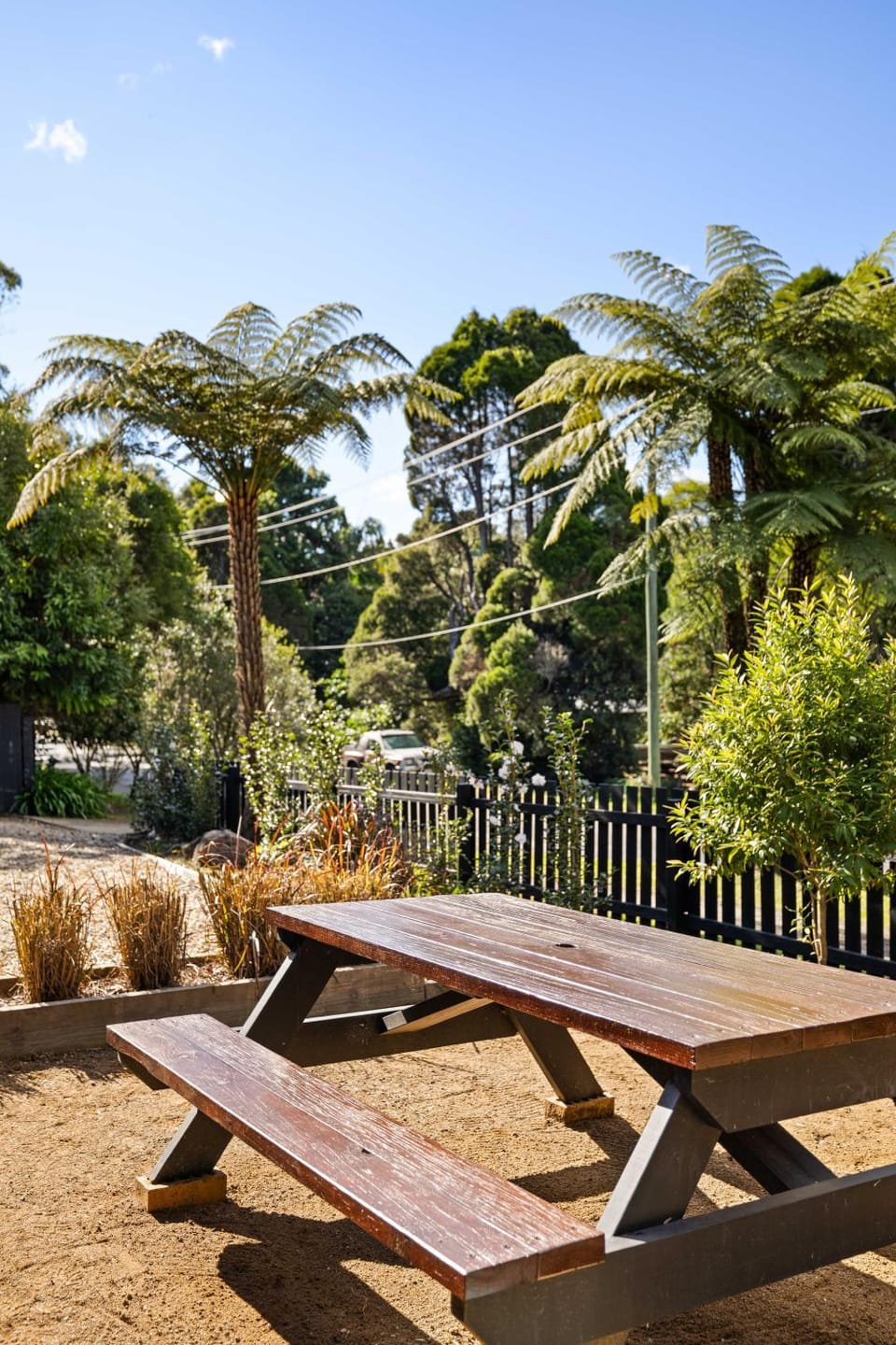 Day, Garden, Garden view