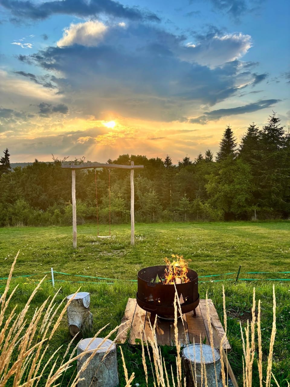 Natural landscape, Garden view, Sunset
