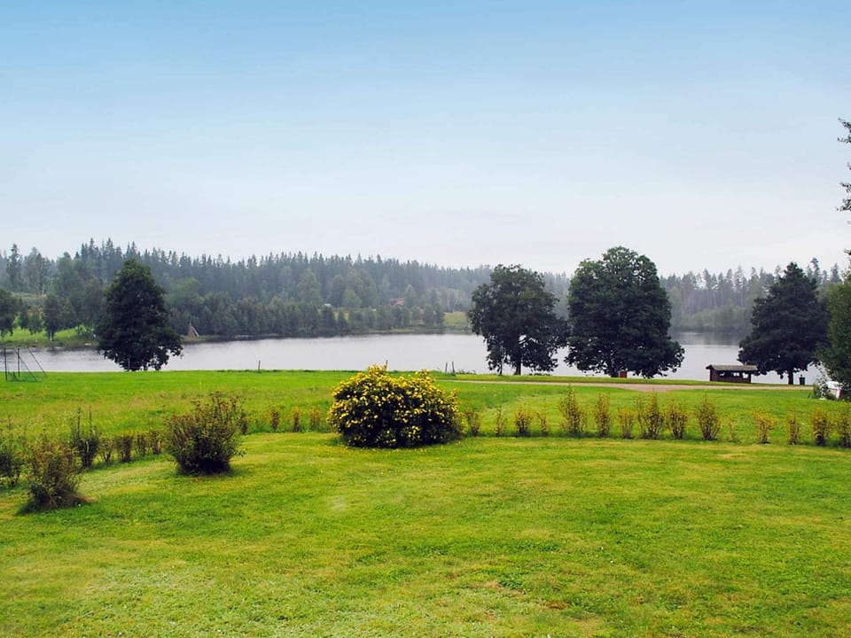 Lake view