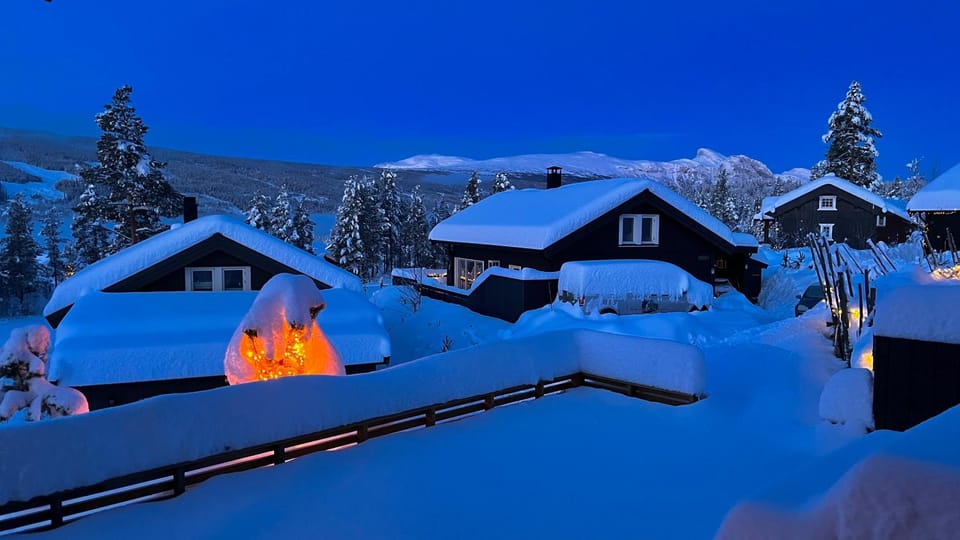 Modern cabin, great view, sunny, 2BA, 4BR Cabin in Viken, Norway