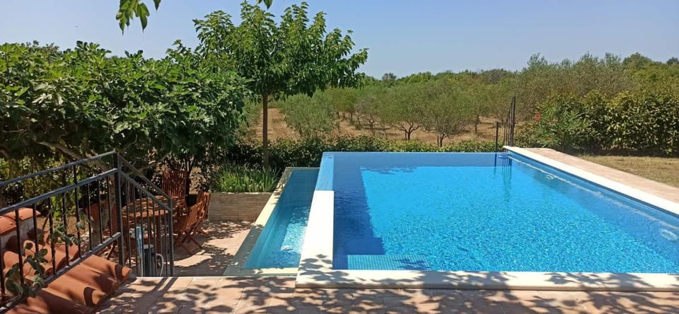 Day, Garden view, Pool view