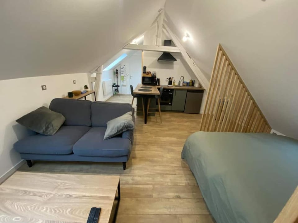 Chaleureux studio hyper centre Apartment in Amiens