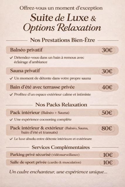 Suite D&S Luxury Room Apartment in Saint-Étienne