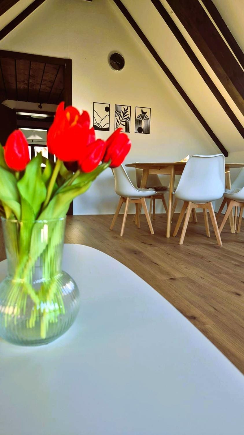 Living room, Decorative detail, Seating area, Dining area