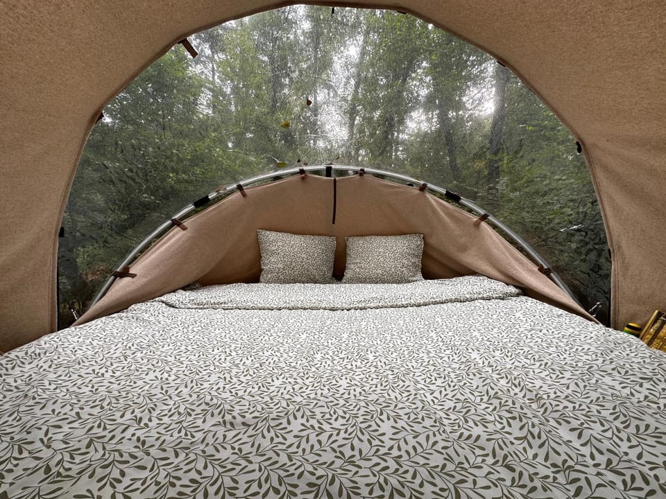 Bed, Photo of the whole room