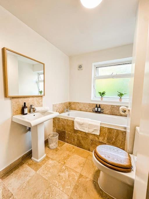 Toilet, Bathroom, Bath, towels