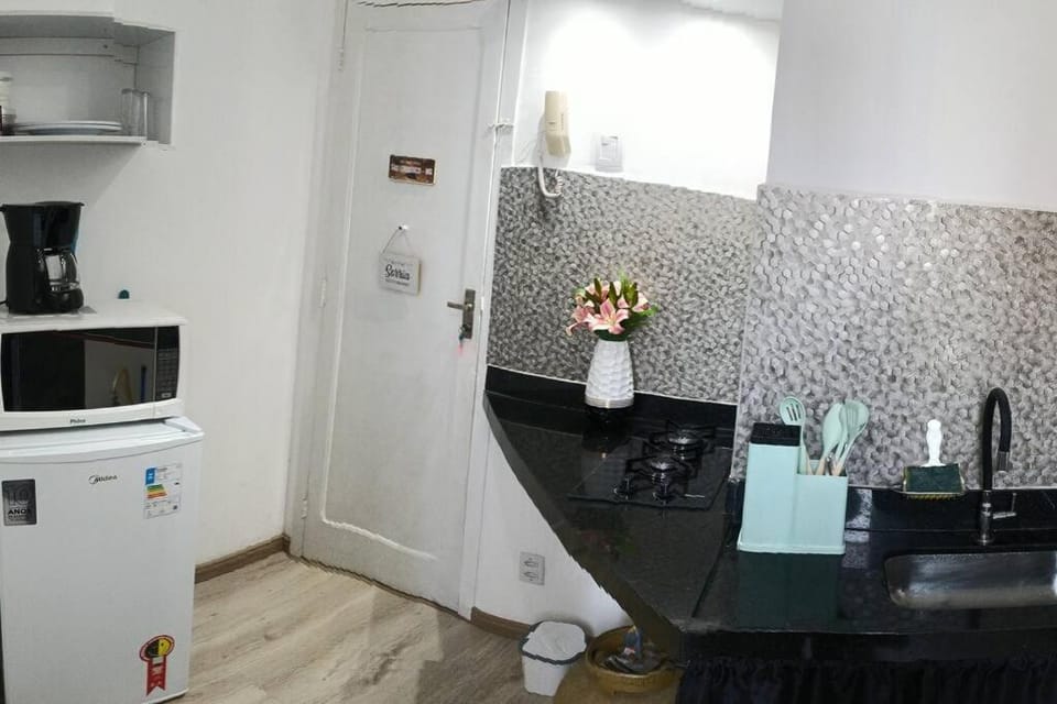 Kitchen or kitchenette, minibar, oven