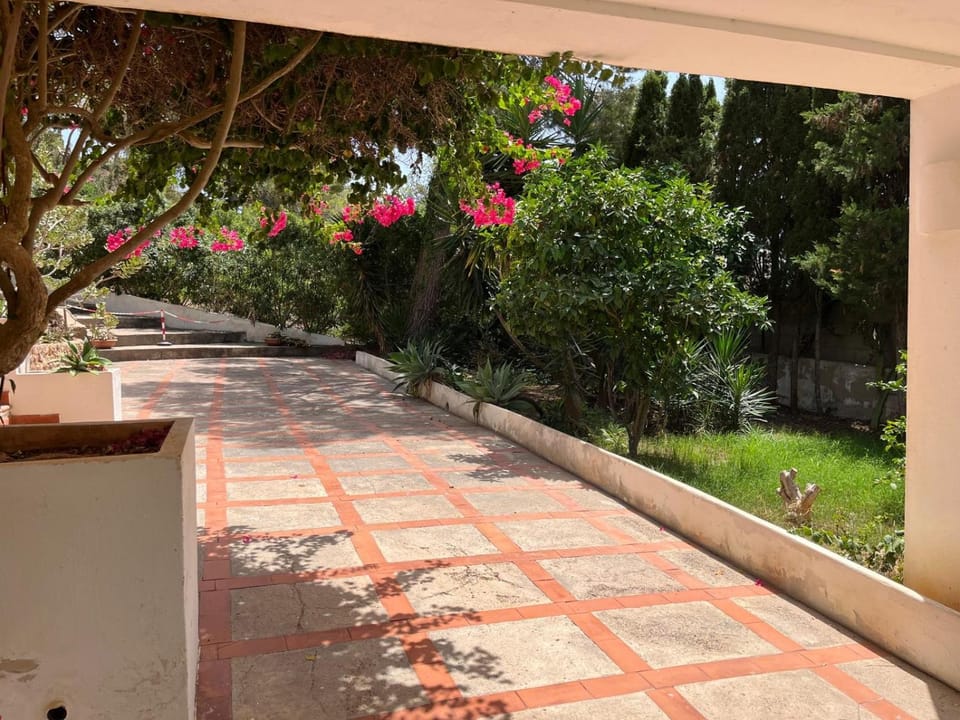Spring, Garden, Garden view