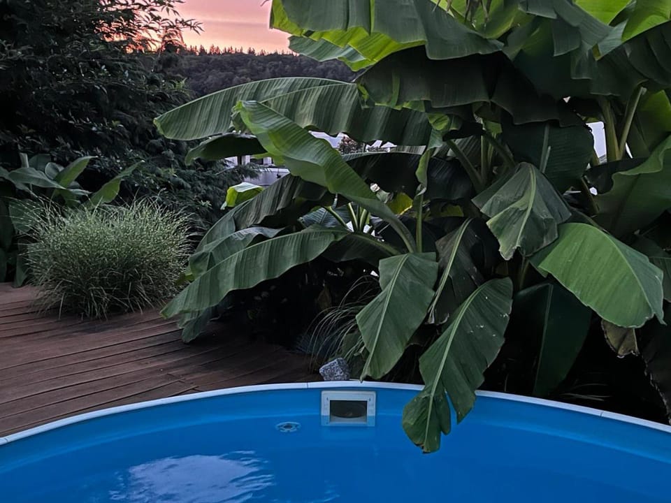 City Chillout Heidelberg Appartement with Sauna & Pool Apartment in Heidelberg