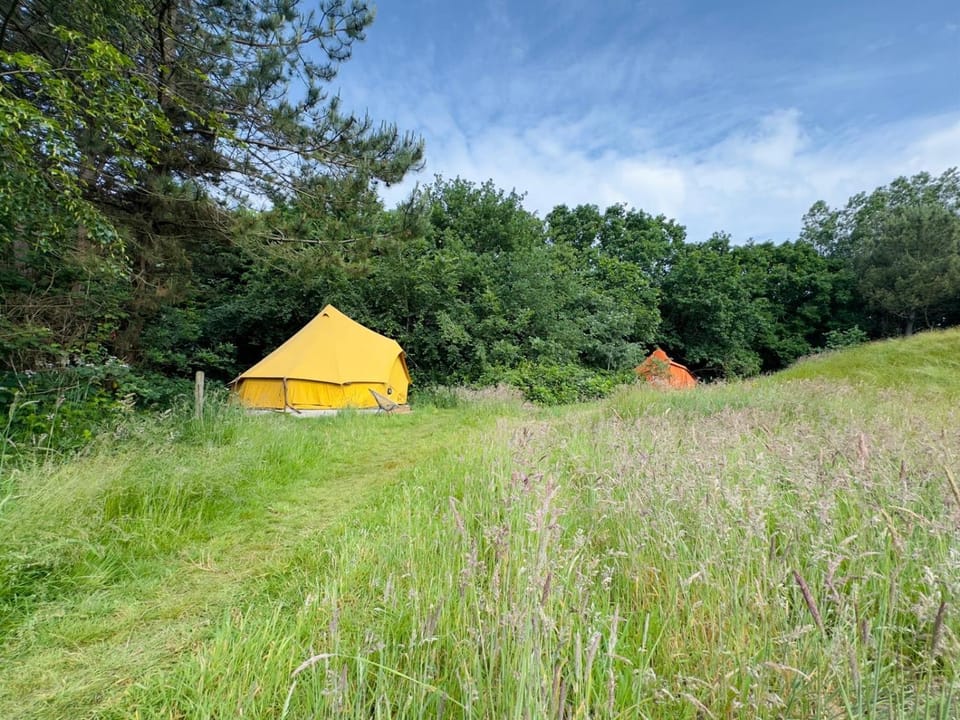 Natural landscape, Garden view