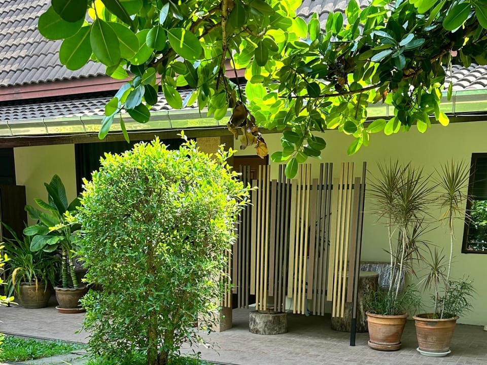 Garden view