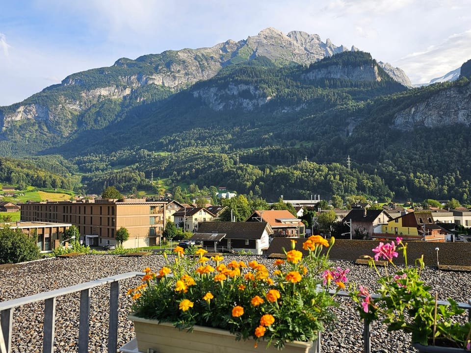 Natural landscape, Balcony/Terrace, Mountain view