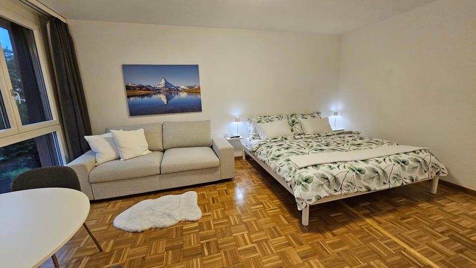 Bed, Living room, Photo of the whole room, Seating area, Bedroom