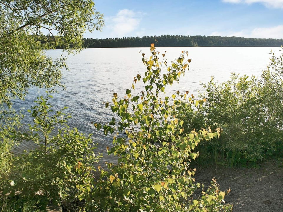 Lake view