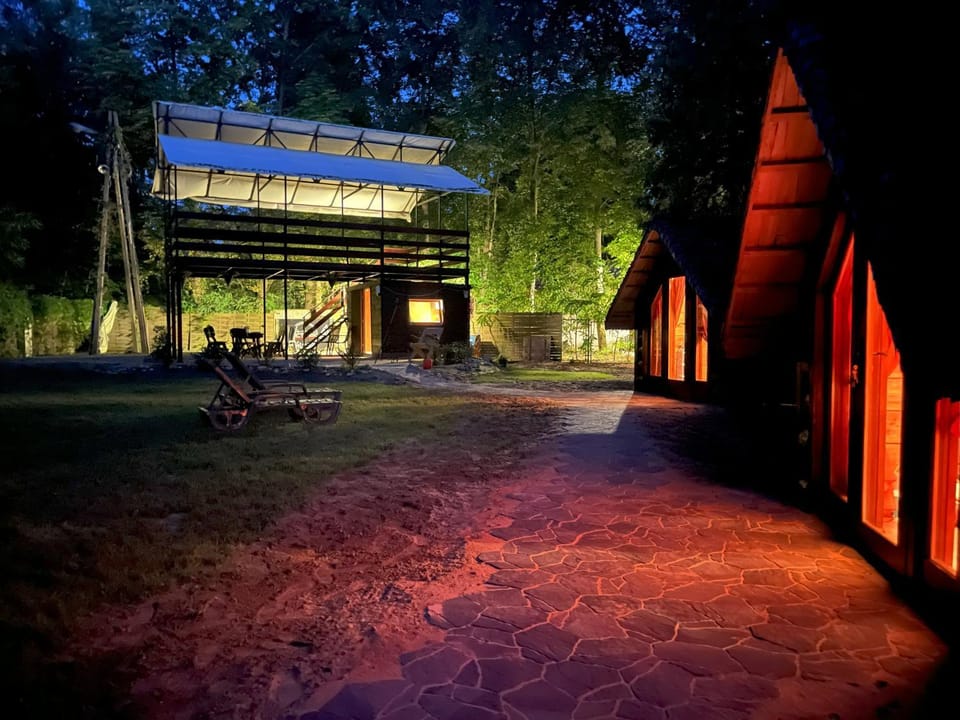 Property building, Night, Natural landscape, Garden view
