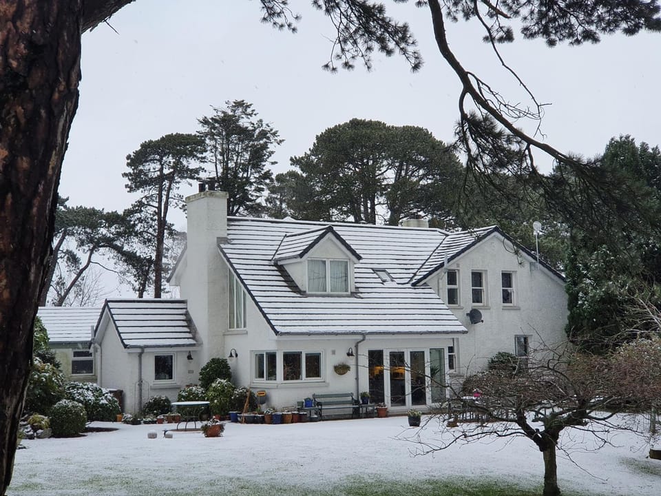 Property building, Winter
