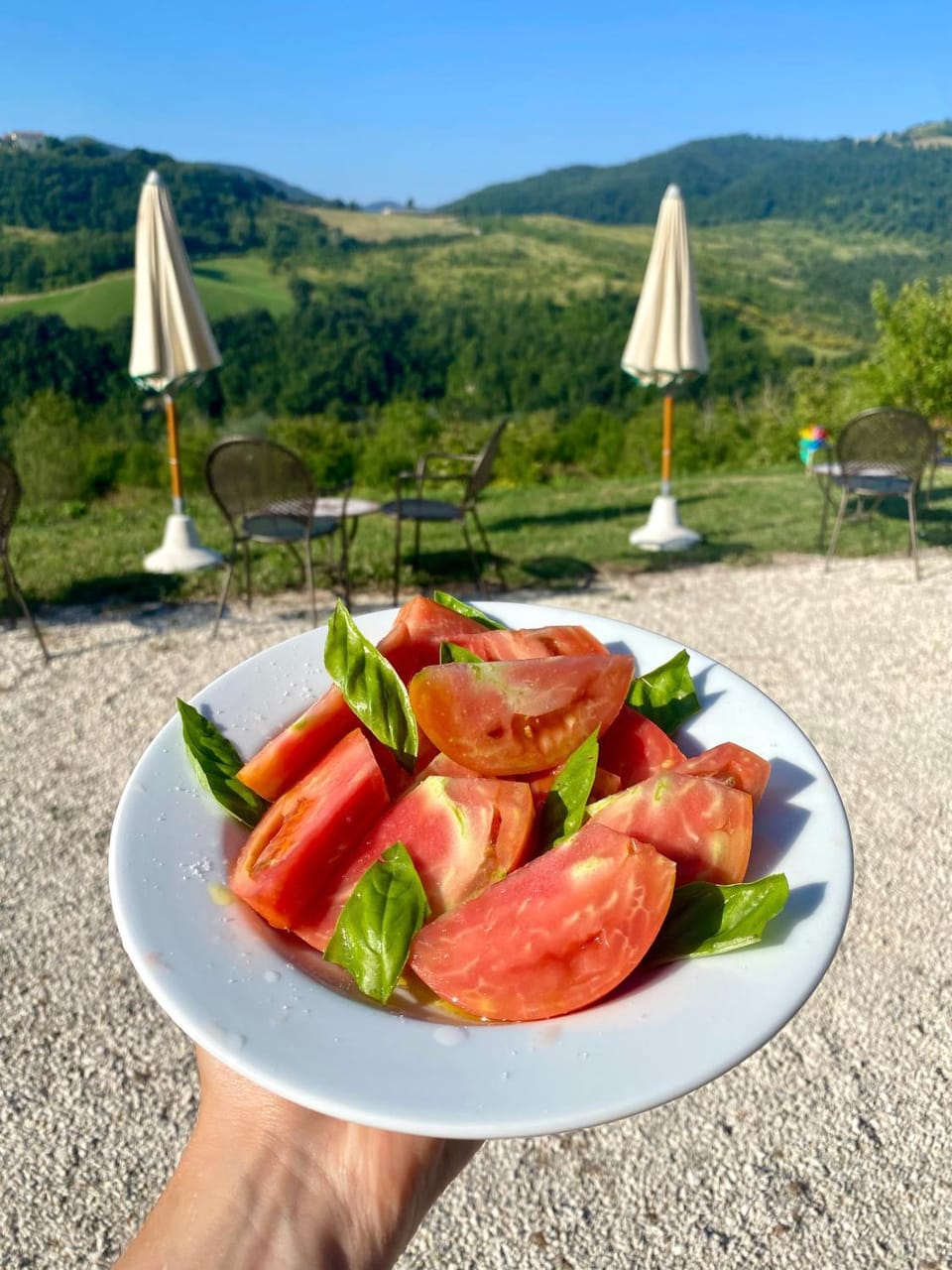 Day, Natural landscape, Food, Mountain view, Breakfast