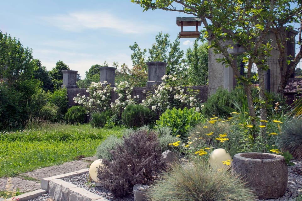 Natural landscape, Garden view