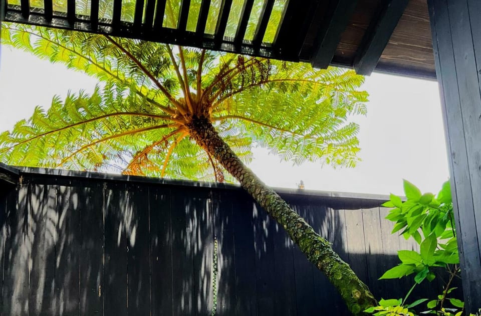 奄美大島の宿 Villa in Japan