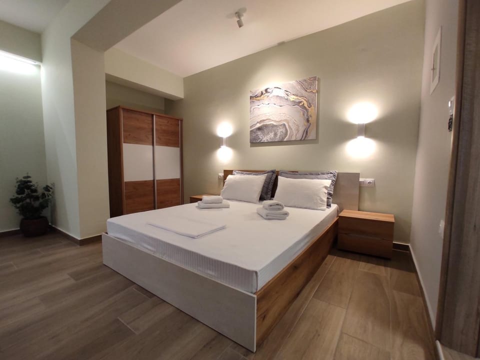 Aliki's Studio 1 Apartment in Kalabaka