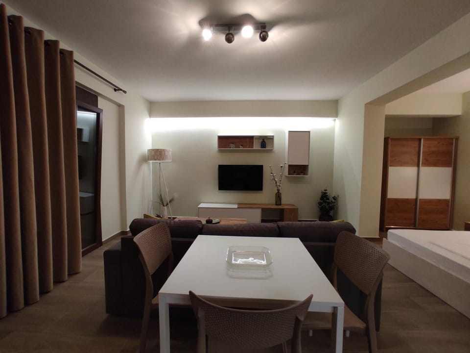 Aliki's Studio 1 Apartment in Kalabaka