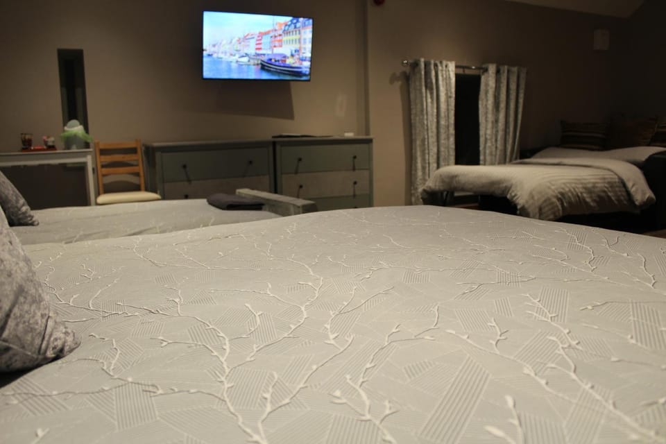 Bed, TV and multimedia, Coffee/tea facilities, Photo of the whole room, Bedroom, Family