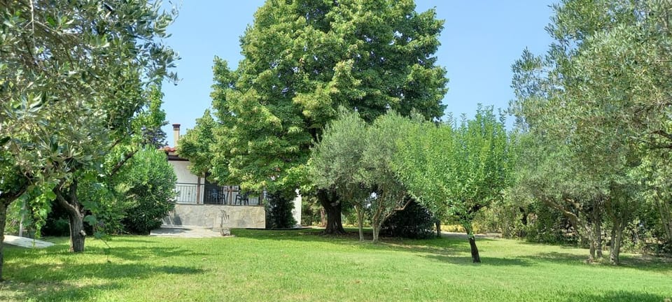 Lidden tree cottage House in Decentralized Administration of Macedonia and Thrace