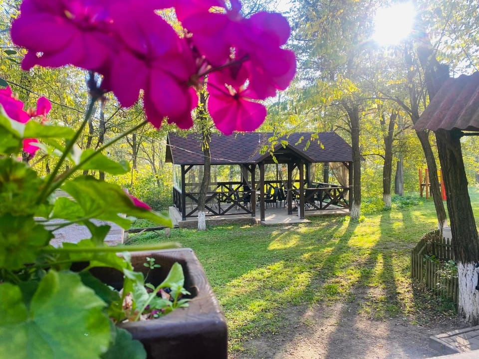 Spring, Day, Natural landscape, Garden, Garden view