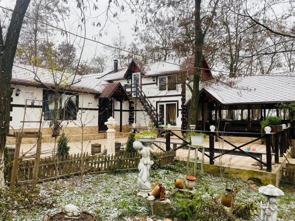 Property building, Day, Garden view