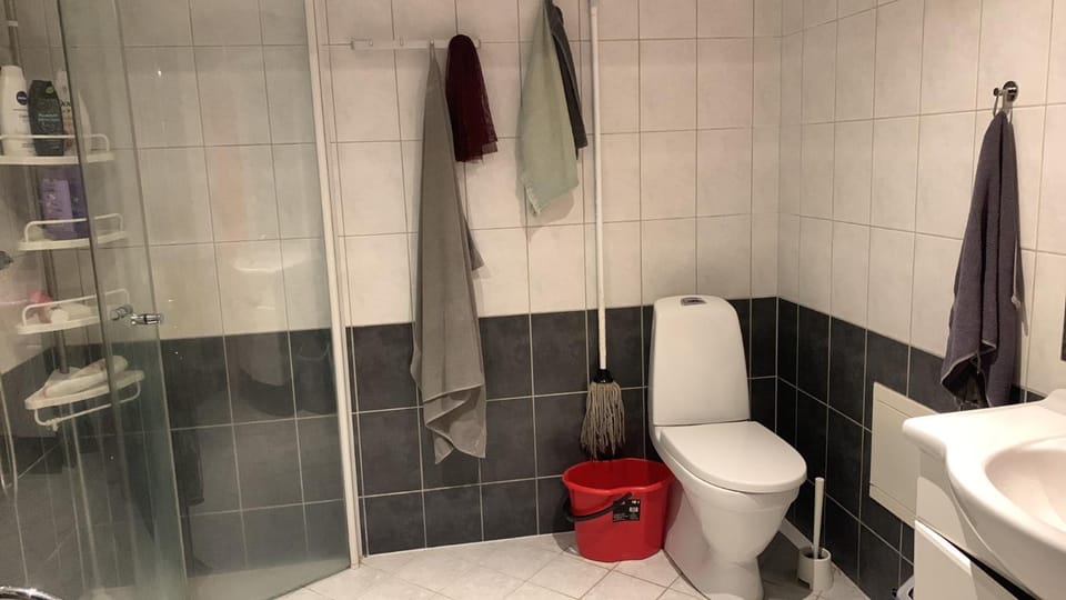 Toilet, Bathroom