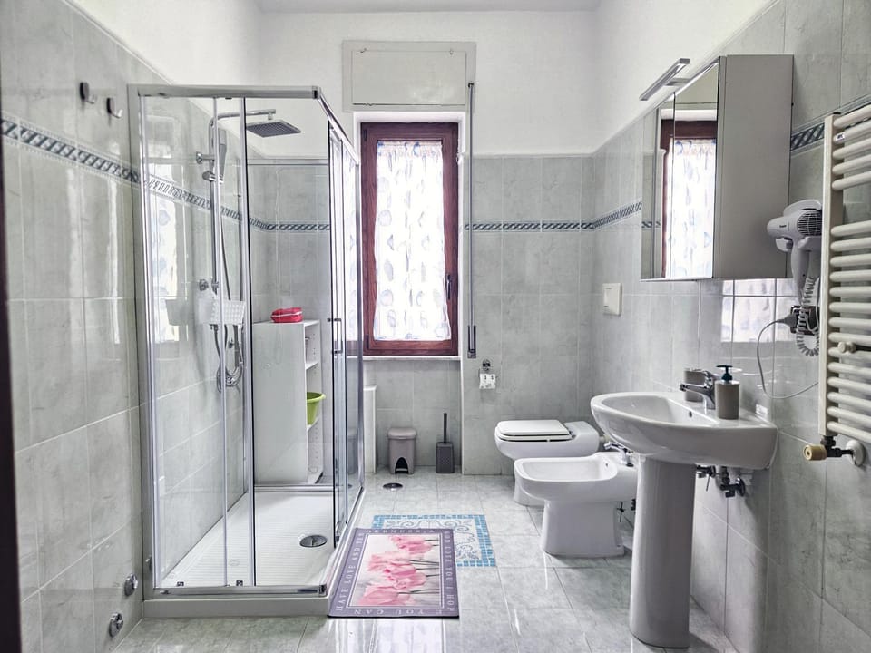 Shower, Toilet, Bathroom, bidet, hair dryier, towels