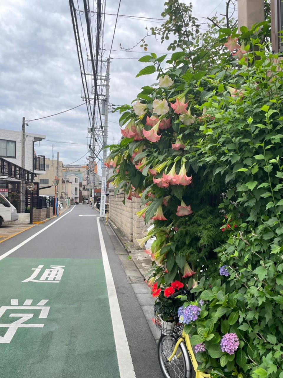 新宿庭院の屋-Shinjuku Garden Home -28 square meters king size bed garden room Apartment in Shinjuku