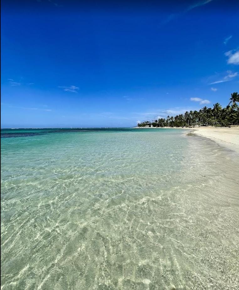 Natural landscape, Other, Beach