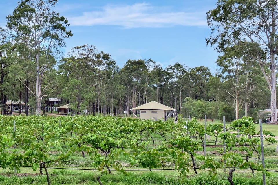 Pokolbin Glamping - Sleeps 2. Eco-Friendly Single Glamping Tents Luxury tent in New South Wales