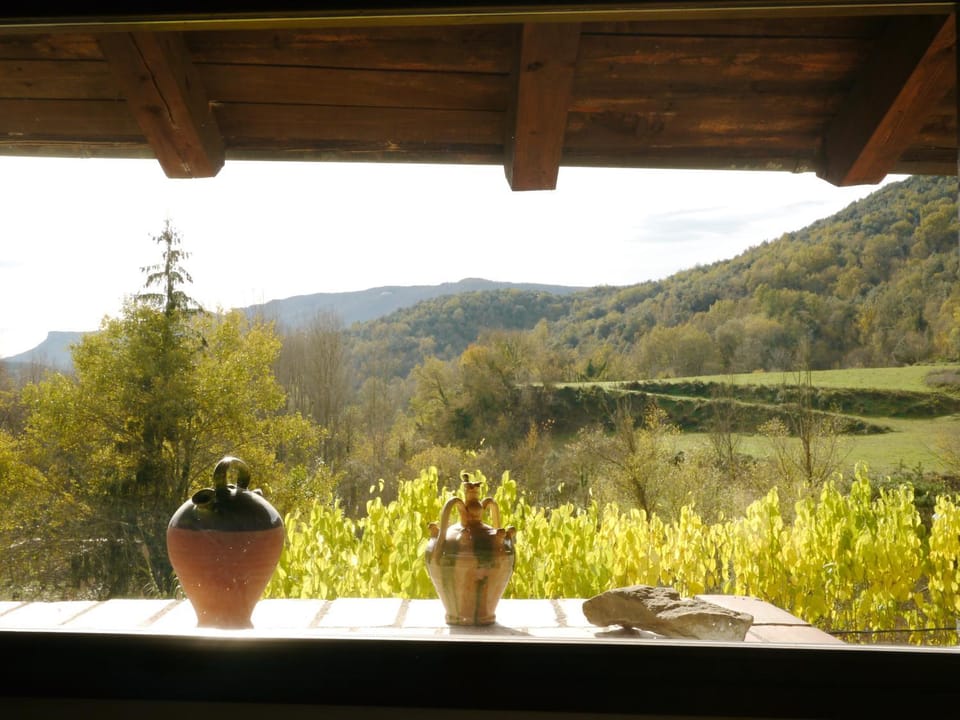 Mas Franch Apartment in Garrotxa